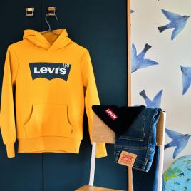 Levi's Kids Sweat com capuz, 3 - 16 anos