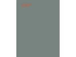 Livro Dora Budor de Richard Birkett (Inglês - Capa Dura)