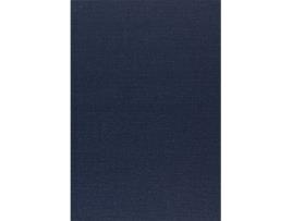 Livro Apostolic Church of the Pleroma Clergy Handbook de Tau Phosphoros (Inglês)