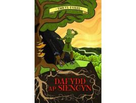 Livro Dafydd ap Siencyn de Lleucu Gwenllian (Galês)