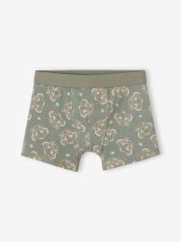 Lote de 3 boxers Disney®, O Rei Leão caqui