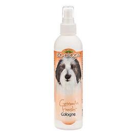 Bio-Groom Bio Groom Groom N Fresh Colônia, 8 oz (Pacote de 1)