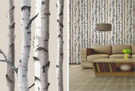 Fine Decor Floresta de árvores belas Decor creme Birch característica temáticos Wallpaper