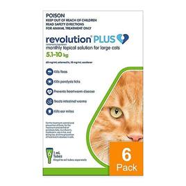 Revolution Plus para gatos grandes 11.1-22 lbs (5.1-10 kg) - 6 pacote