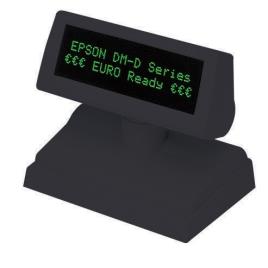 Visor de Cliente EPSON DM-D110BA Com Suporte Cinzento