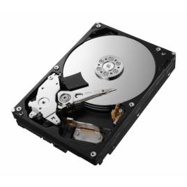 HD 3.5P 1TB P300