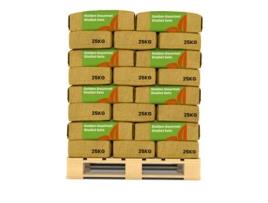 Plantas De Chalota Golden Gourmet 14/21 - 1000 Kg - Organifer