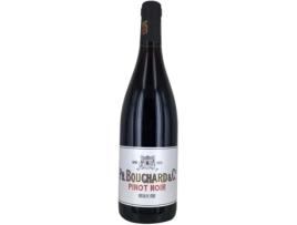 Ph. Bouchard 2019 IGP Pays dOc Pinot Noir - vinho tinto de Languedoc