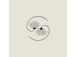 GODSPEED YOU! BLACK EMPEROR - G_ds Pee At States End! CD 2021