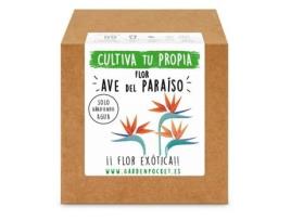 Kit plantio Flor Ave-do-Paraíso, Garden Pocket.