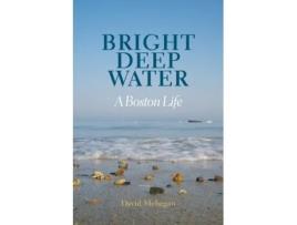 Livro Bright Deep Water: A Boston Life David Mehegan (Inglês)
