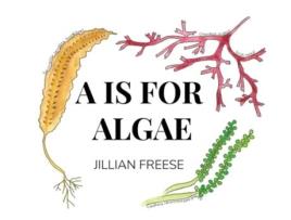 Livro A is for Algae Jillian Freese (Inglês)