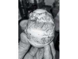 Livro Chrysalis Ray Potes (Inglês)