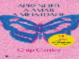 Livro Aprender A Amar A Meia - Idade De Chip Conley