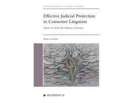 Livro Effective Judicial Protection in Consumer Litigation de Anna van Duin (Inglês - Capa Dura)