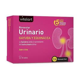 VITALART Urinary Well-Being 10 packets