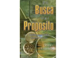 Livro En Busca de Significante de Ray Llarena (Inglês)