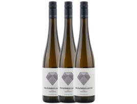Weingut Hajszan Neumann Nussberg Gruner Veltliner Grüner Veltliner 75 cl (Caixa de 3 unidades)