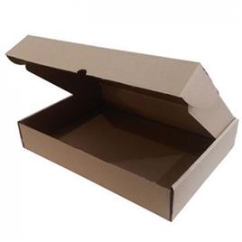 Caixa Expedição Auto-Montável 219x136x052mm Cartão Micro (0,0015m3) 1un