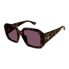 Chloe Sunglasses Óculos de sol para mulheres Sunglasses Ch0300S