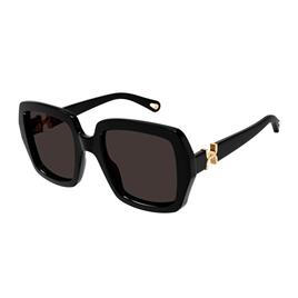 Chloe Sunglasses Óculos de sol para mulheres Recycled Sunglasses Ch0301S