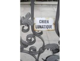 Livro Chien Lunatique Poems De Christopher Bernard (inglês)