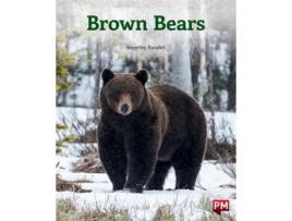Livro Brown Bears De Beverley Randell (inglês)
