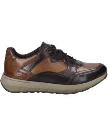 Sapatos de Homem JOSEP SEIBEL CAMERON-08 PIEL MARRON