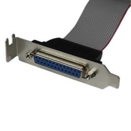 Startech Low Profile Parallel Port 40 Cm One Size Grey