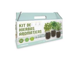Kit De Cultivo De Aromáticos De Interior (orégãos, Coentros E Hortelã)