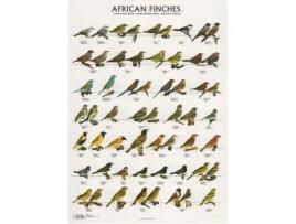 Poster Diamantes Africanos 2 Laminado A4