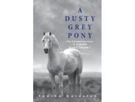 Livro A Dusty Grey Pony Book 1 Volume 1 De Tearna Goldston (inglês)