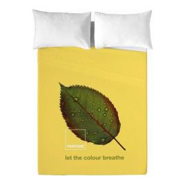 Conjunto de Lençóis Nature Pantone