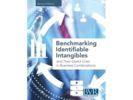 Livro Benchmarking Identifiable Intangibles And Their Useful Lives In Business Combinations, Second Edition De Bvr Staff (inglês)