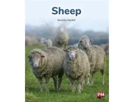 Livro Sheep De Beverley Randell (inglês)