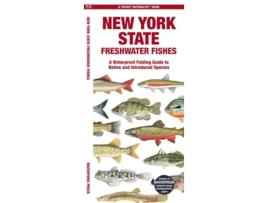 Livro New York State Freshwater Fishes De Matthew Morris (inglês)