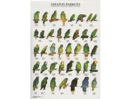 Poster Papagaios Do Amazonas Laminado A4