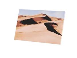 Painel Decorativo Fabuloso Paisagem De Duna Lona Grossa 380g 94x60 Cm Feito Na França Fabulous