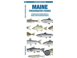Livro Maine Freshwater Fishes De Matthew Morris Waterford Press (inglês)