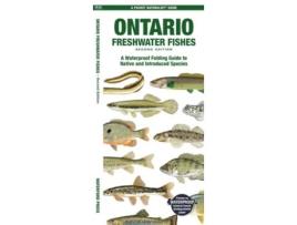 Livro Ontario Freshwater Fishes De Matthew Morris (inglês)
