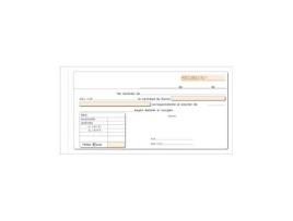 Livro Paq/10 Talonario Recibo Alquiler Duplicado Con Igic De Desconocido (espanhol)