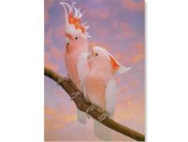 Poster Catatuas Major Mitchell