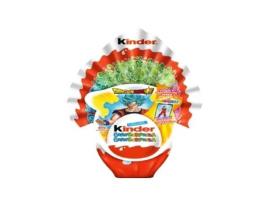 Ovo Chocolate de Leite KINDER Gransurpresa