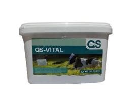 Qs-Vital Rehidratante para Animales Comprimidos Efervescentes 48 Uds QS VETS