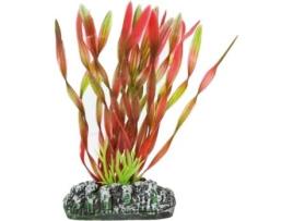Adorno AQUATIC PLANTS Vallisneria (5 kg)