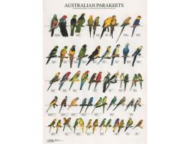 Poster Psitacideos Da Australia Laminado A4