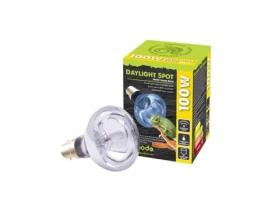 Lâmpada Neodymium Daylight E27