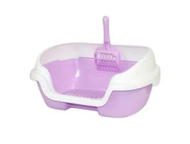 Caixa de Areia Aberta com P para Gato