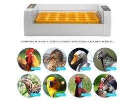 Incubadora Automática 24 Ovos Display Digital Plug UE OUTAD