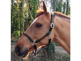 Cabresto e corda de couro para cavalos Cavaletti Tara